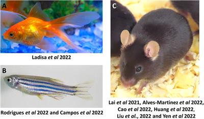 Editorial: Animal models for pharmacological investigation of treatments and diagnostics for diseases